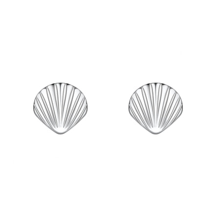 shell shaped stud earrings in silver grooves