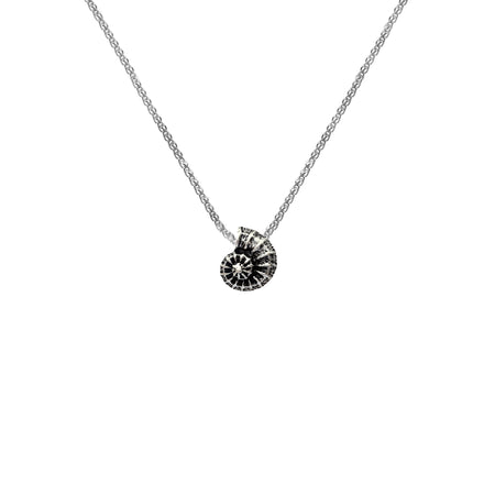 a small ammonite pendant with a silver spiga chain